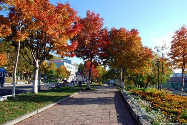 Петропавловск-Камчатский осенью