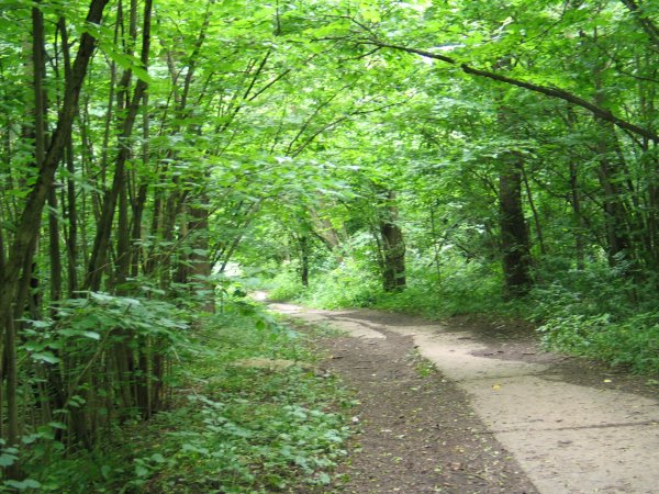 Парк Битцевский лес