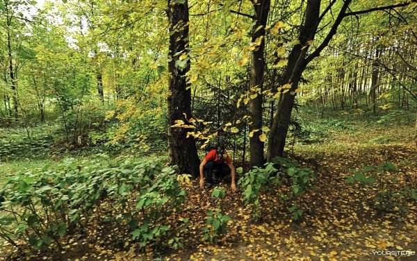 Лесопарк Битцевский лес