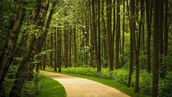 Битцевский лесопарк