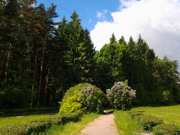 Битцевский лесопарк