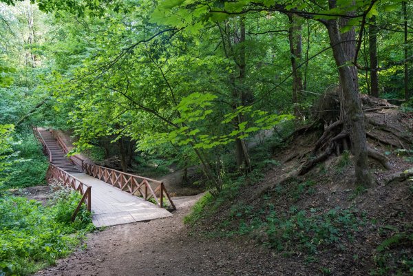 Природный парк Битцевский лес