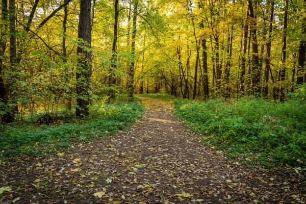 Рекреационный парк Зюзина