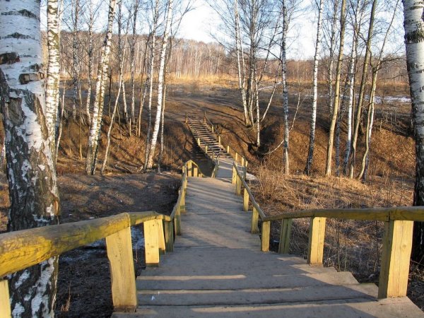 Ясенево парк Битцевский парк