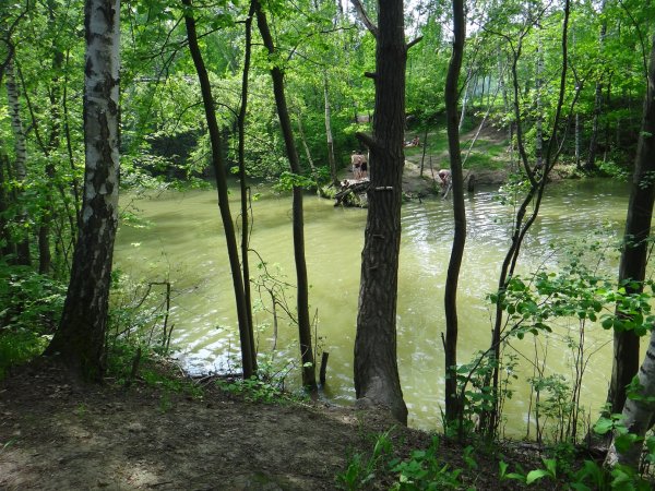 Ясенево пруд Битцевский парк