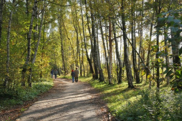 Парк Бутовский лесопарк