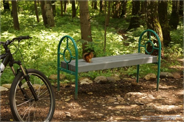 Битцевский лес Москва