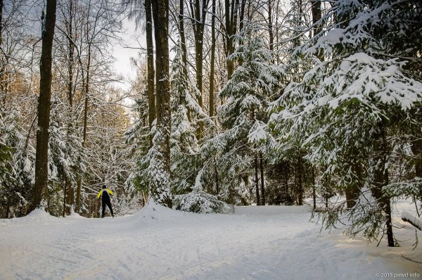 Лыжня Битцевский парк