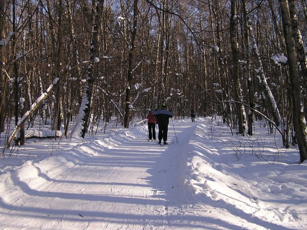 Лыжные трасса Битца лесопарк