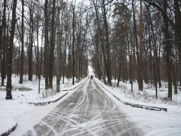 Москворецкий парк Строгино зимой