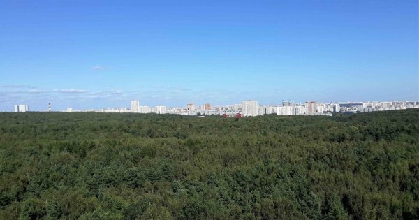 Битцевский парк сверху