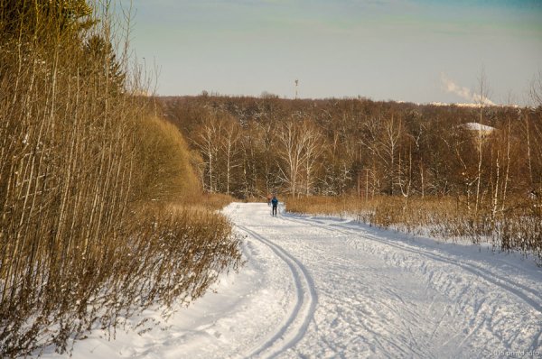 Лыжная трасса в Битцевском лесу