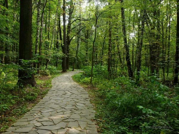 Филевский парк