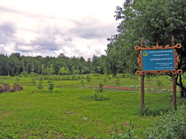 Природный парк Битцевский лес
