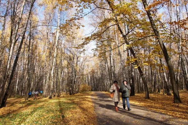 Парк Битцевский лес