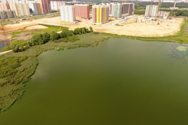 Парк черное озеро Некрасовка