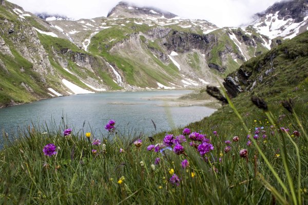 Озеро Леман Альпийские Луга