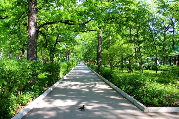 Самарский загородный парк