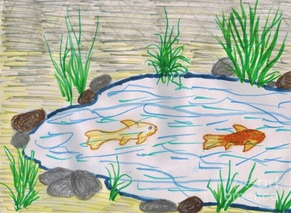 Рисование обитатели водоемов