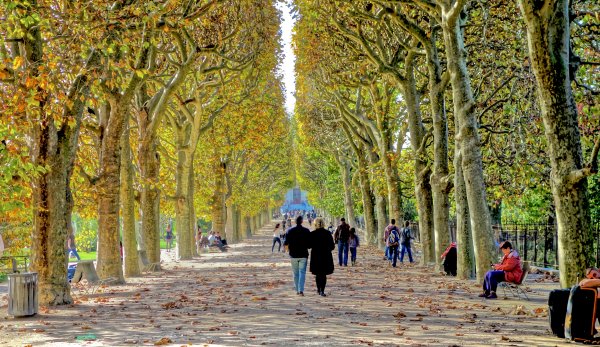 Парк Тюильри осень Париж