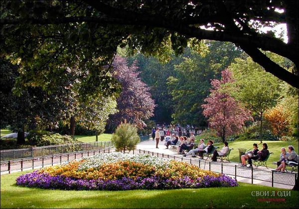 Сад Франции парк Монсо