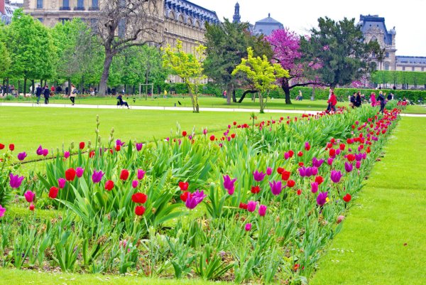 Парк Тюильри в Париже