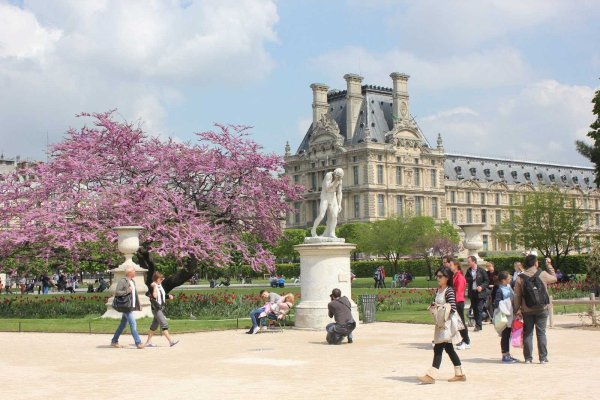 Сады Тюильри в Париже Весна