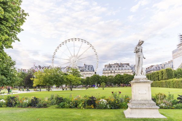 Тюильри Париж сверху