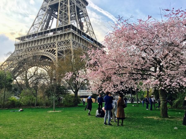 Парк Париж Эйфелева башня