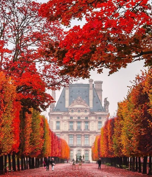 Сад Тюильри в Париже