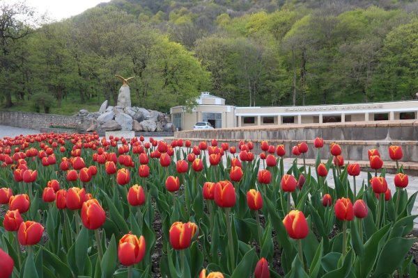 Железноводск 2020