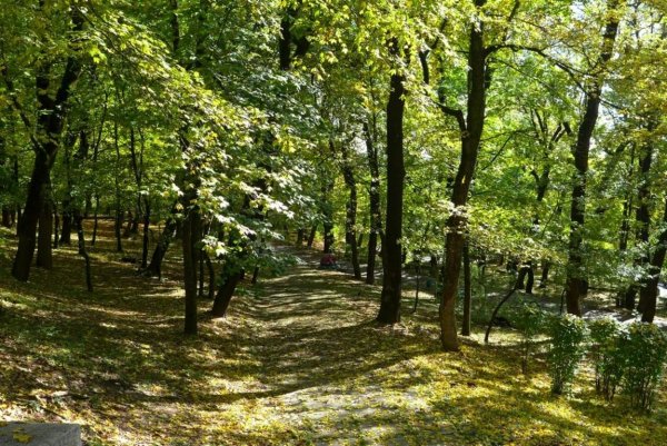 Лечебный парк Железноводск