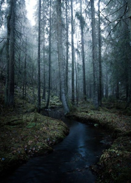 Темный пейзаж