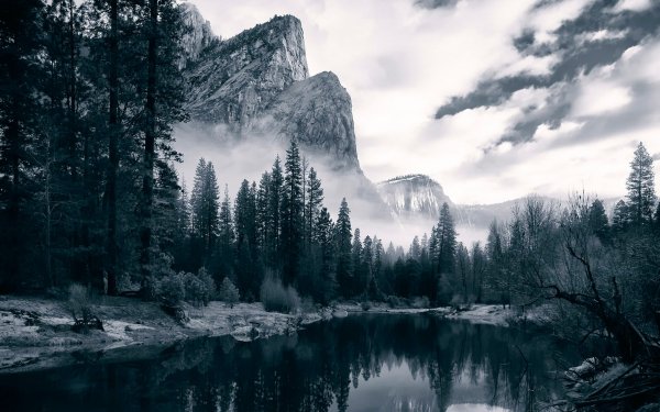 Скандинавия горы лес