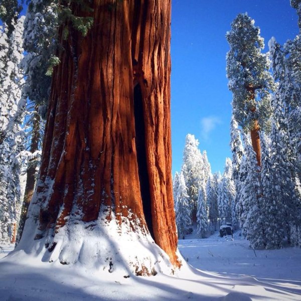 Национальный парк Секвойя (Sequoia National Park)