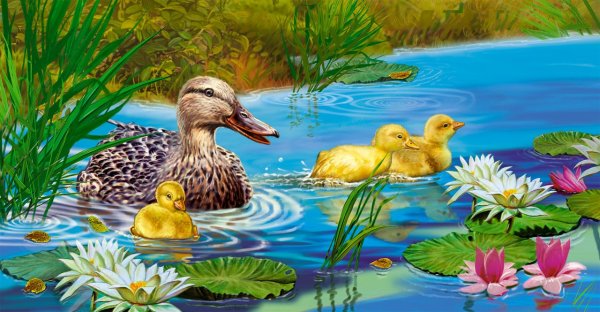 Утята на озере для детей