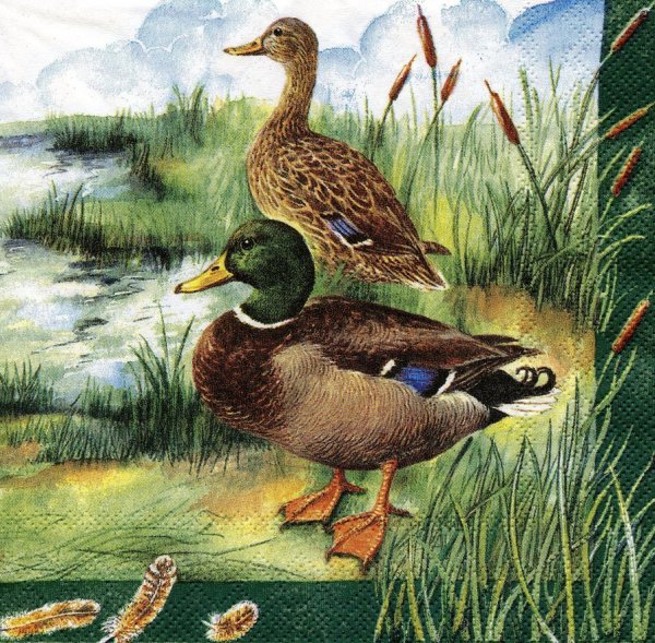 Утки для декупажа