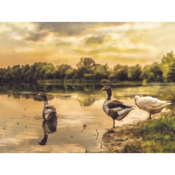 Пейзаж с гусями