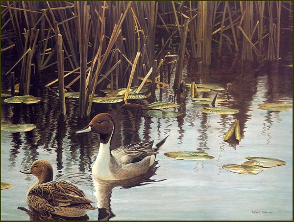 Роберт Бейтман картина Дикая утка