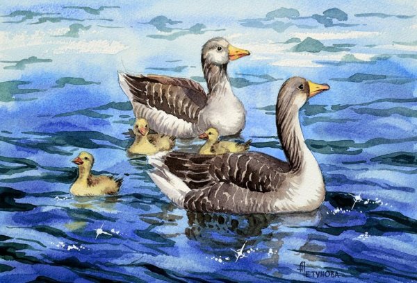 Сюжетные картины