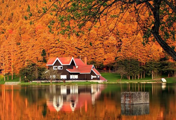 Домик у озера осенью
