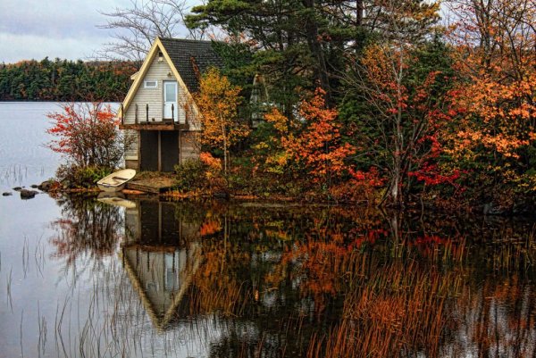 Дом у озера осень
