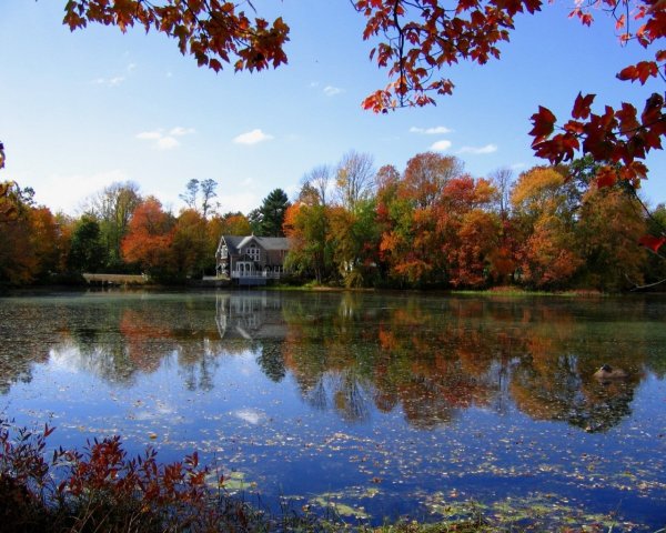 Осенний пейзаж