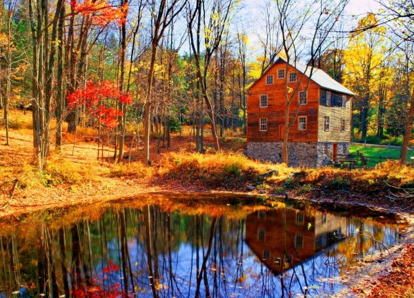 Дом у озера осень