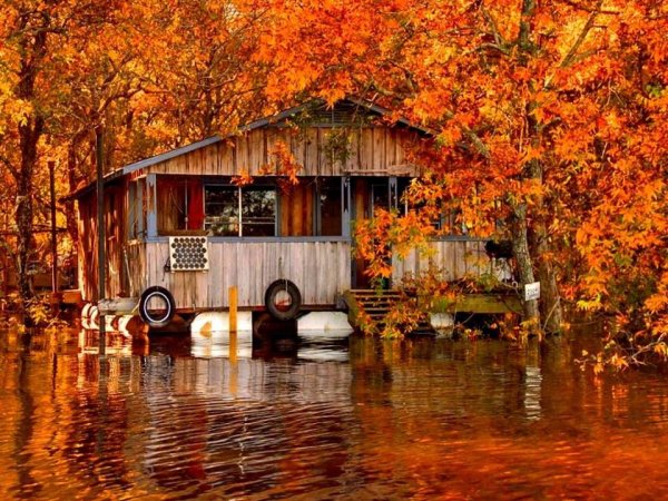 Осень в Луизиане