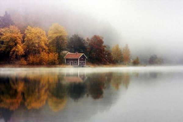 Дом на озере в тумане