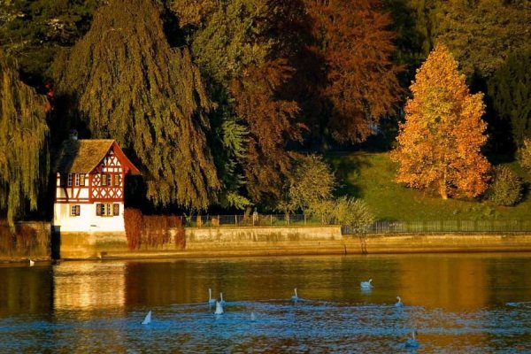 Домик на реке осенью