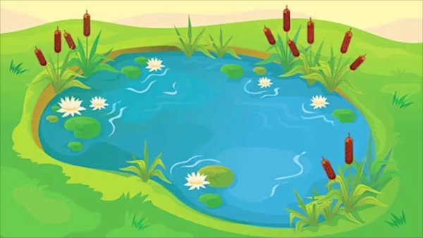 Фон водоема для детей