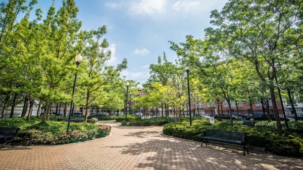 Панорама городского парка