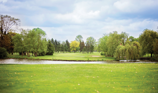 Удельный парк панорама